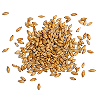 https://hungry-buck.213-158-90-105.plesk.page/wp-content/uploads/2017/05/ingredients_transparent_03.png